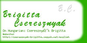 brigitta cseresznyak business card